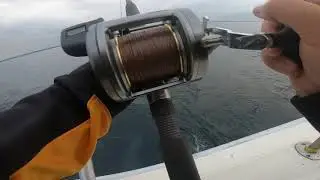 Lake Michigan Nicky Boy Charters Day Two