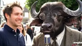 Cow blog #trending #ai