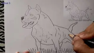 Como desenhar um pitbull? | Artluis 4 (Português)