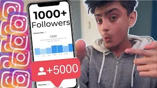 0 to 1000 Active INSTAGRAM FOLLOWERS Speedrun - Challenge