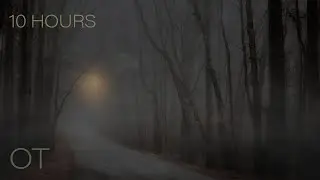 The Trees are Bare | Moody Windy Autumn Night | Relax | Study | Sleep | 10 Hours Outdoor Ambience
