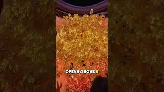 Hidden inside Wynn Palace Macau, the Tree of Prosperity rises from the floor in a dazzling show of