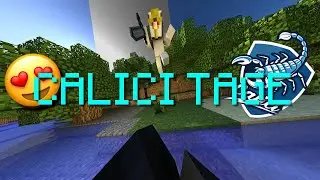Calici-Tage #10 Kingdom 1 AURA Farmen (Community Craft)