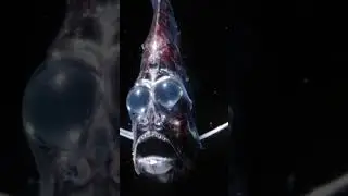 Mysterious and Terrifying Events in Earth&rsquo;s Deep Oceans (2024) #shorts #youtubeshorts #ocean