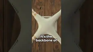 How to make Drone? #dronetutorial #dronephotography  #diy #drones #shorts #crazyxyz