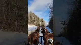 Country Sleigh Ride #horse #winter #farm #adventure