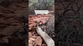 Subway Cave via Boynton Canyon Trail in Sedona, Arizona
