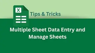 How to Do Multiple Sheet Data Entry and Manage Sheets in Excel | Excel Tips & Tricks
