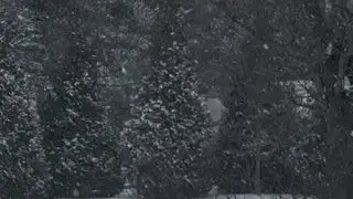Winter Snow Sounds for Sleep Restore Your Nervous System Relaxing Music to Stop Overthinking & Relax