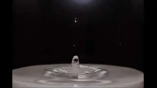 Evolution of Water Drops Collision