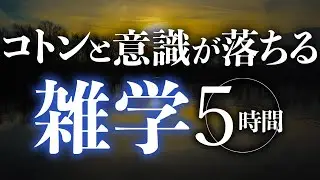 【睡眠導入】コトンと意識が落ちる雑学5時間【合成音声】