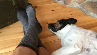 Darn Tough Merino Sock Review!