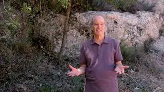 Energy Ball | A Vibrational Healing Practice