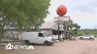 Rediscover Arizona's quirky Punkin Center
