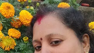 हैप्पी मकर संक्रांति