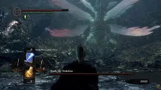 Dark Souls: Remastered, 2.55