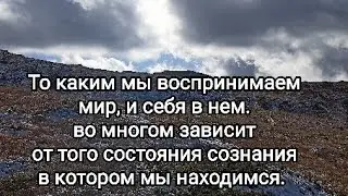 Медитация онлайн. 03.02.26 Дух. 
