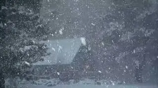 FALL ASLEEP in 5 MINUTES 💤 Heavy Blizzard & Howling Wind Sounds for Deep Sleep - 3 Hours