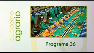 Cuaderno Agrario PGM 36