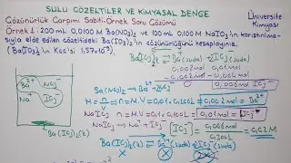 ANALİTİK KİMYA-Sulu Çözeltiler ve Kimyasal Denge-Kimyasal Denge 4