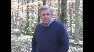 Guided Personal Spiritual Retreat at The Cove in Asheville, NC