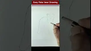 How to DRAW A POLAR BEAR Step by Step  Polar Bear Easy Drawing Lesson  #shorts #youtubeshorts