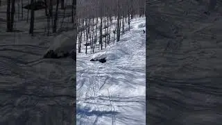 Fun Line at Whitecap