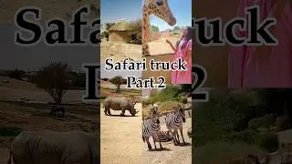 Safari truck #alain #zoo #reels #youtube