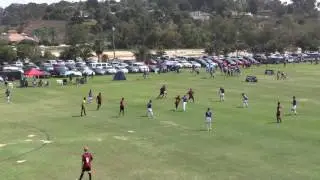 CROSSFIRE PREMIER B00A vs AC BREA B00 BU17 Super Black