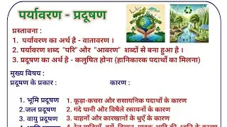 Environmental Pollution - Essay
