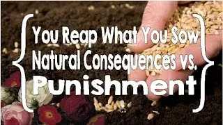 You Reap What You Sow: Discipline & Natural Consequences vs Punishment, Raising Adults pt. 3