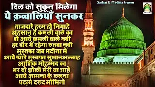 दिल को सुकून मिलेगा ये क़व्वालियाँ सुनकर | Madina Sharif Nonstop Qawwali | 2025 Qawwali | Rasool Pak