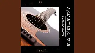 Slap Guitar Saga