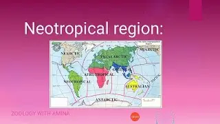 Neotropical region | Zoological characteristics and physical features of neotropical region