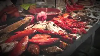 【世宇旅行社】Talipapa-長灘島