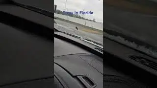 #Snow #Cold #Weather #Florida #Ice ##Vlog #Eat #Love #viralvideo #viralreels #viralpost #viral #real