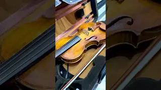 Violino Profissional dispon&iacute;vel - Kit Boxwood - Cordas Erudithus Case Orquezz Completo Luxo