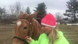 Mule tack issues