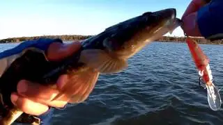 Bream, Flathead around Brisbane and Redcliffe - Fishing Compilation 3