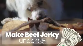 Beef jerky recipe for dogs under $5