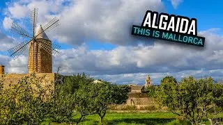 This is Algaida [Mallorca, Spain]