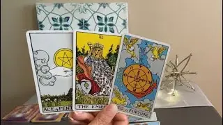 LEO Weekly Tarot June 6&ndash;13&ndash;Course correction❤️🌎💰