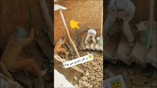 Sedian gir gai dekhay
