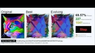 Image Evolution: Colourful Cat 92% Fitness [timelapse]