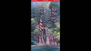 Can you create videos in DREAM BY WOMBO app?