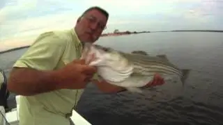 Lake Texoma Striped Bass|Sassy Shad|Topwater Lures