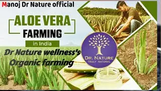 #Alovera Farming @Dr Nature wellness #drnature alovera  #organic