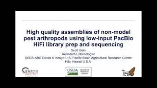 High Quality Assemblies of Non-model Arthropods using Low-input PacBio Library Prep and Sequencing