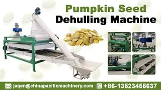 Pumpkin Seeds Peeling Machine|Pumpkin Seeds Thresher Machine|Pumpkin Seed Sheller Dehulling Machine