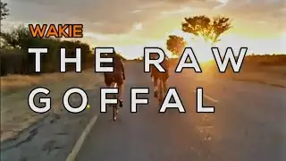 Operation Chameleon | THE RAW GOFFAL